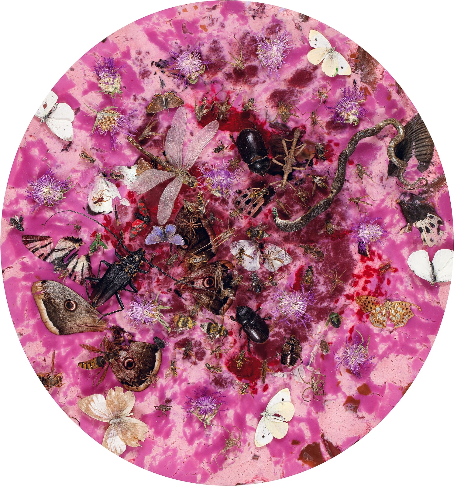 Installations Series 1, Bacchanalian Rhapsody, 2011