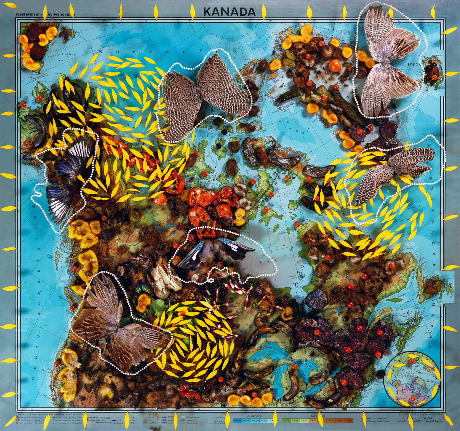 Installations Series 2, Banana Republic Revisited, 2014