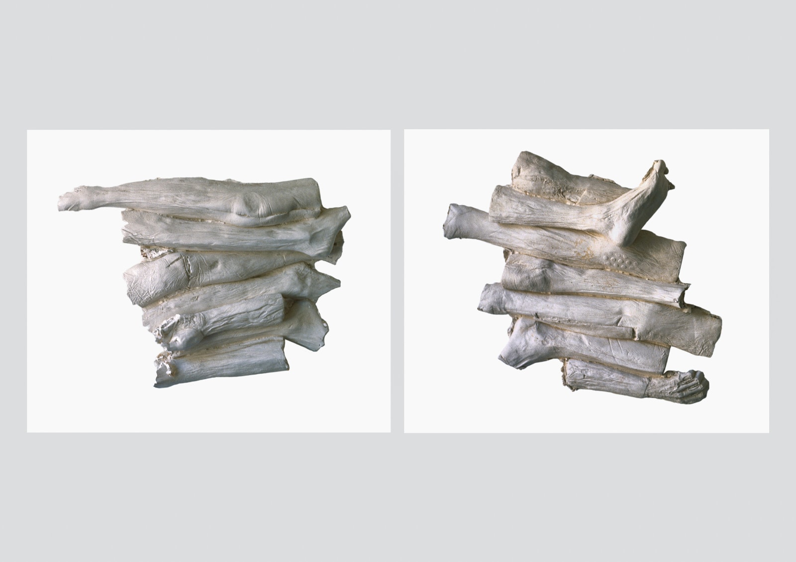 Photography, Limbs dipped in plaster, 1998