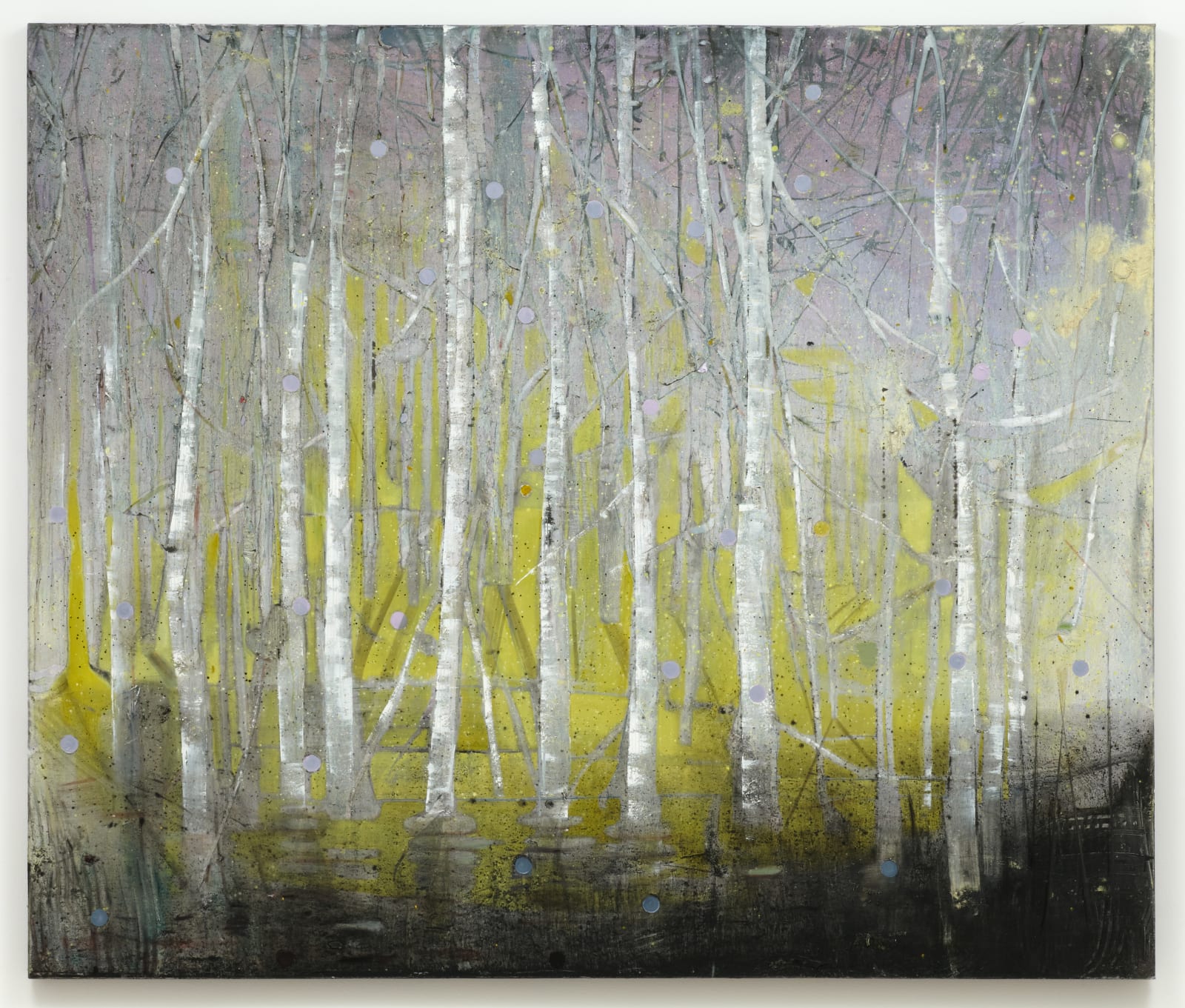 Elizabeth Magill, Betula Pendula, 2012