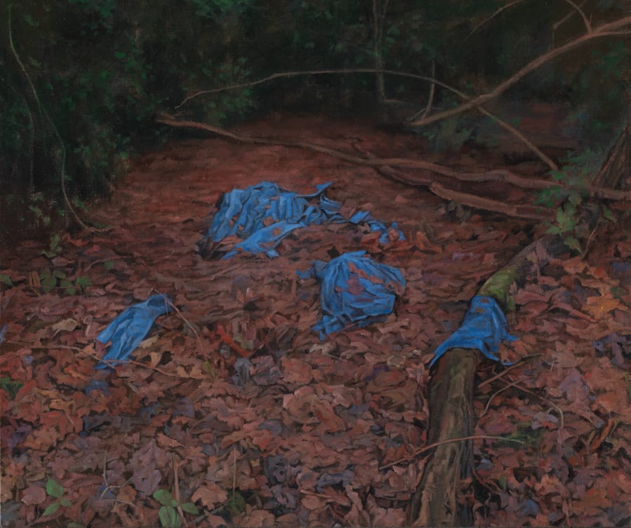 George Shaw, The Uncovered Cover, 2015 - 2016