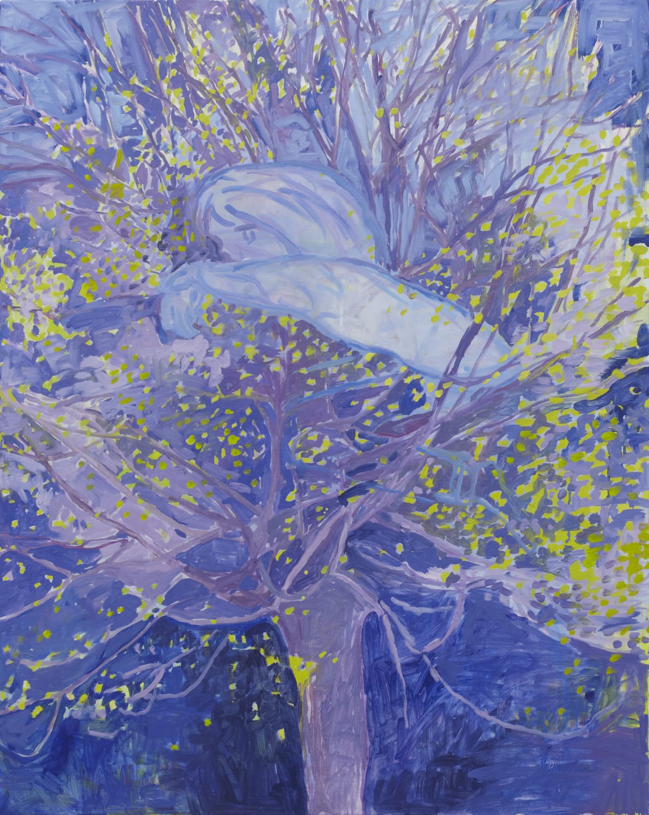 Makiko Kudo, New Life, 2015