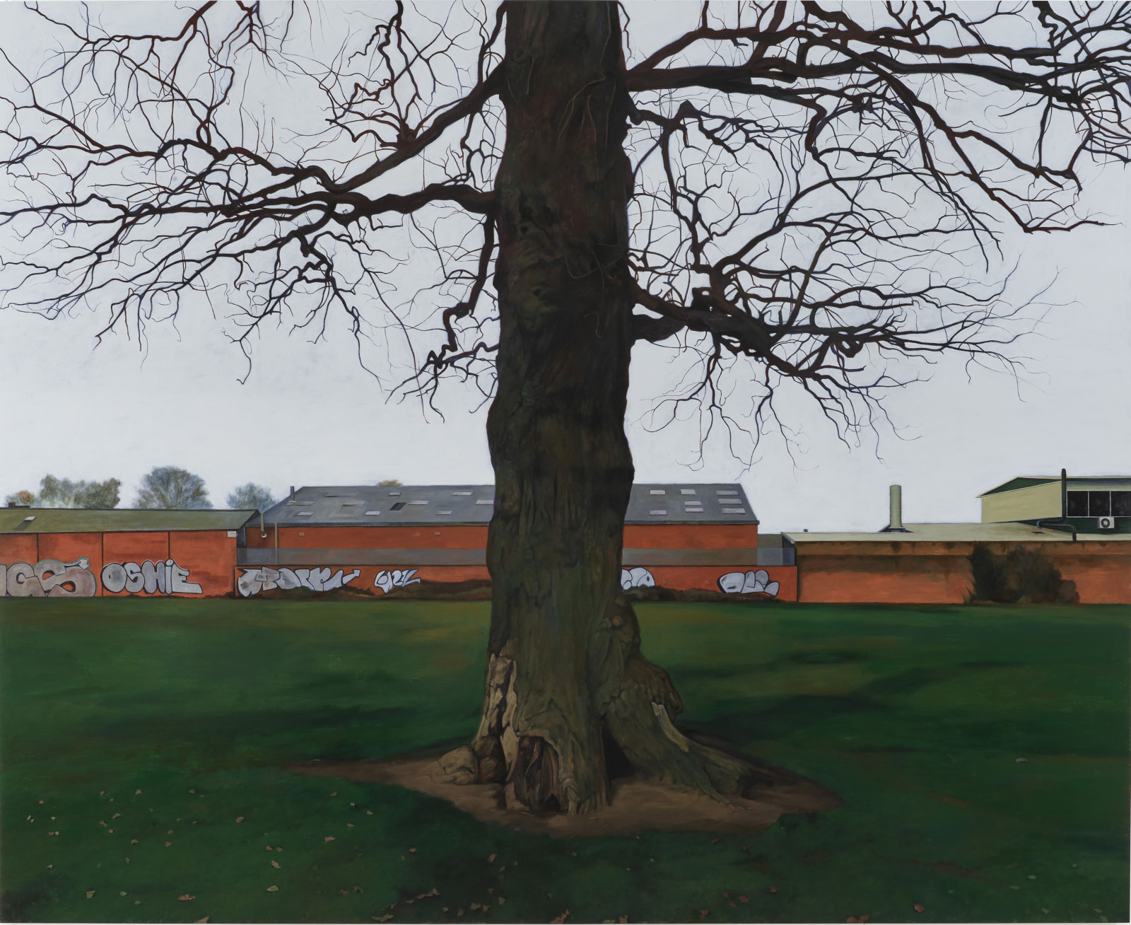 George Shaw, Survivors 2, 2020