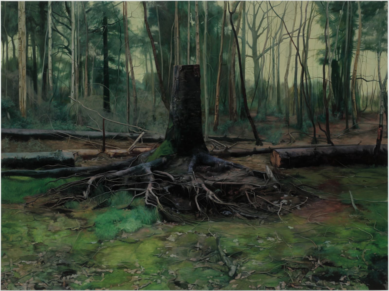 George Shaw, Stump with Roots, 2008-9