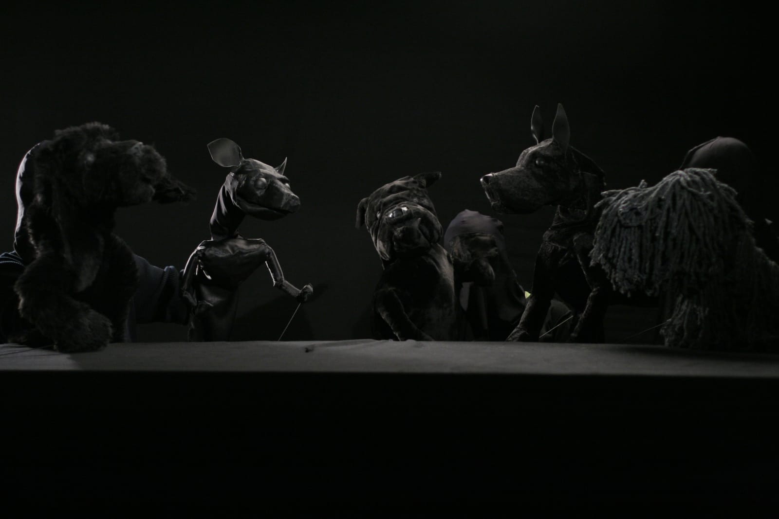 Ciprian Mureşan, Dog Luv, 2009