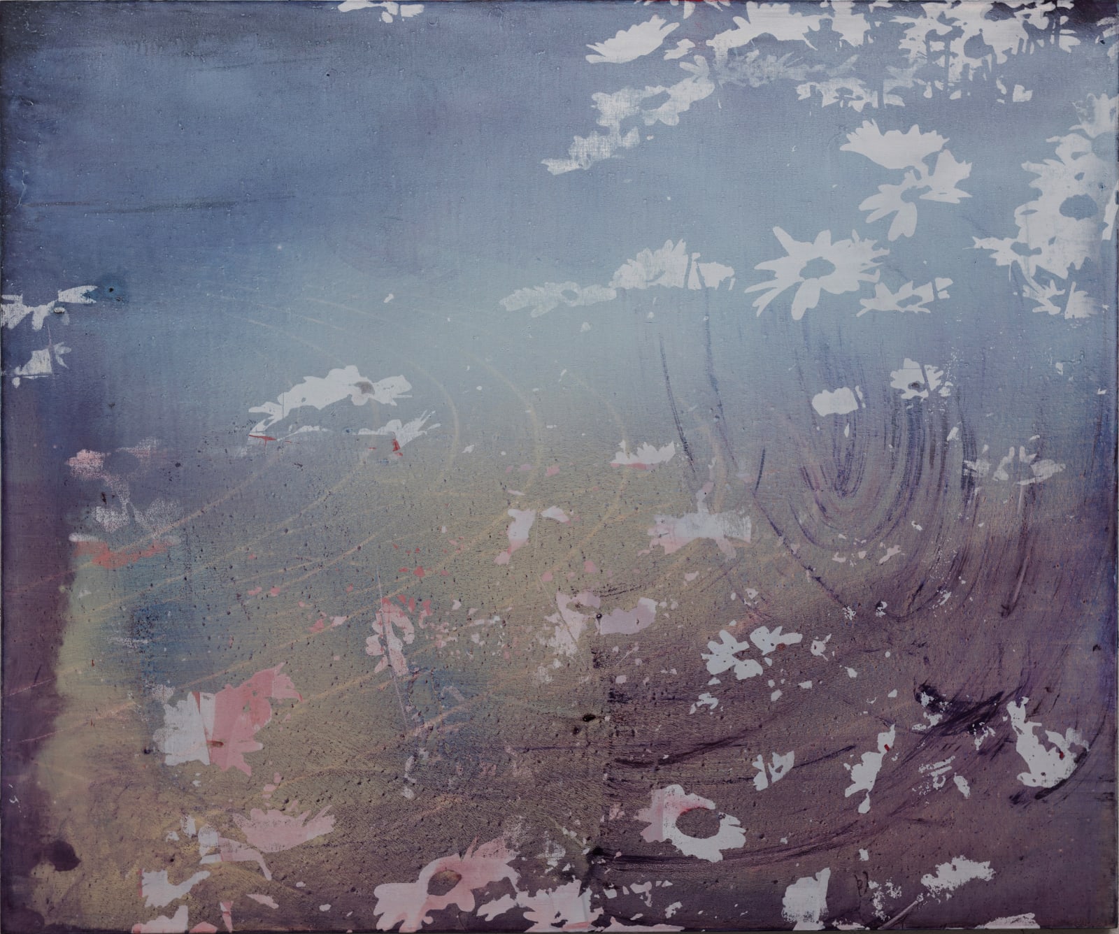 Elizabeth Magill, Wildflowerheads (1), 2018