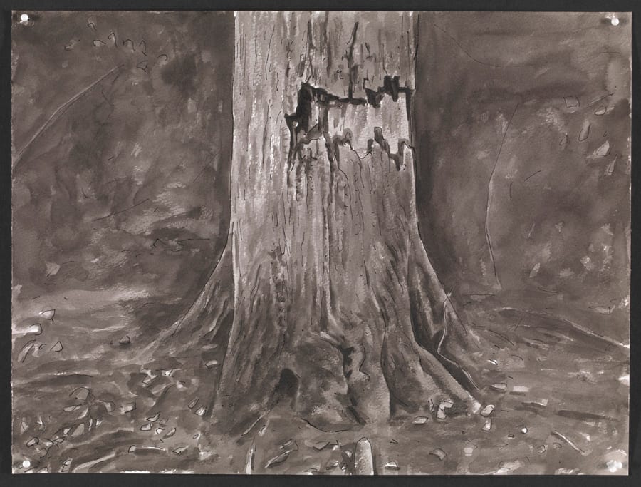 George Shaw, Wounded Tree (2), 2014