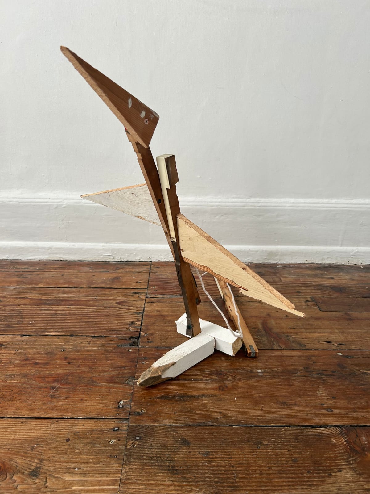 Bob & Roberta Smith, Bird, 2024