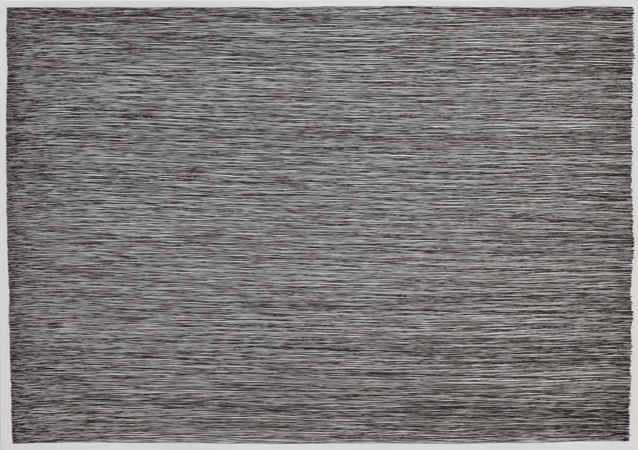 Tim Head, Slow Life (lines No.6 - A1), 2002