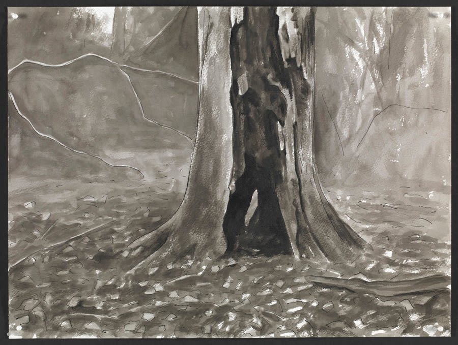 George Shaw, Wounded Tree (3), 2014