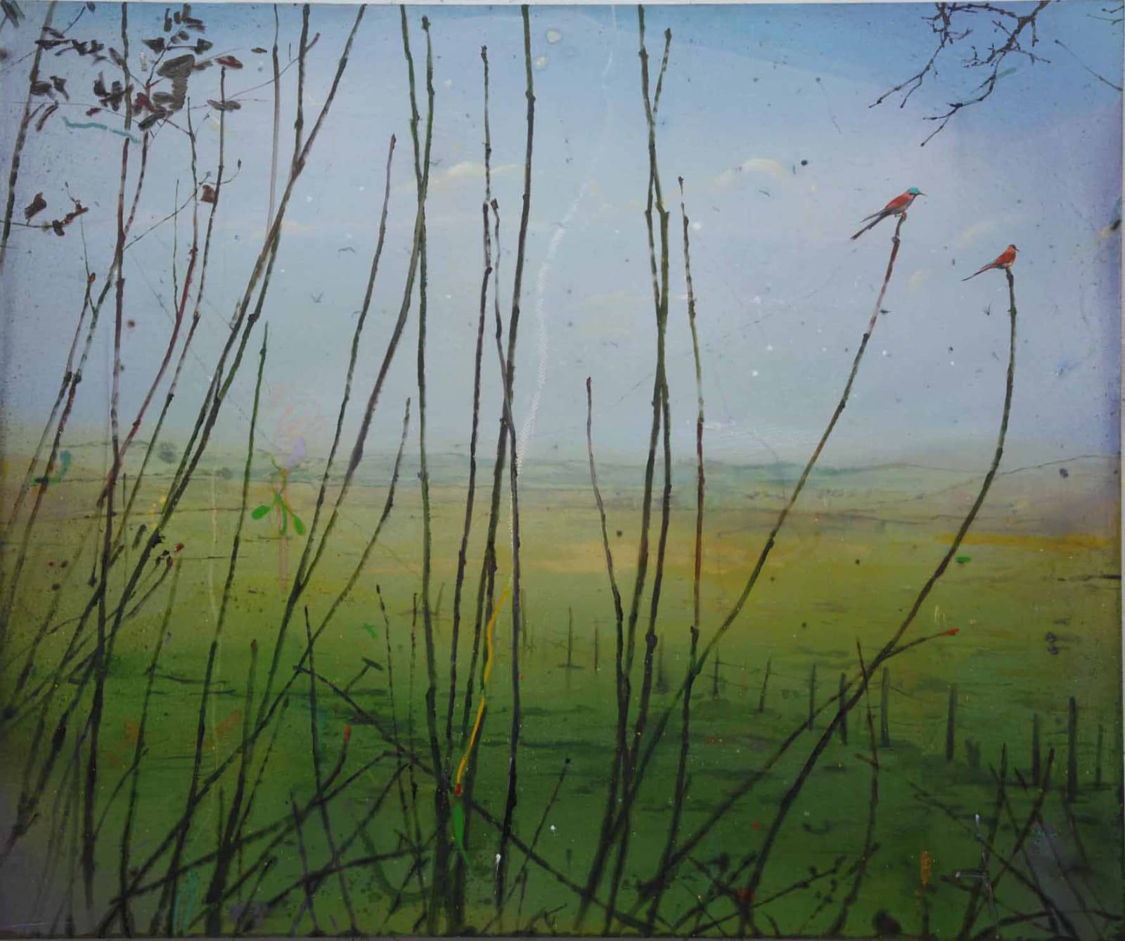 Elizabeth Magill, Northern Carmine, 2007