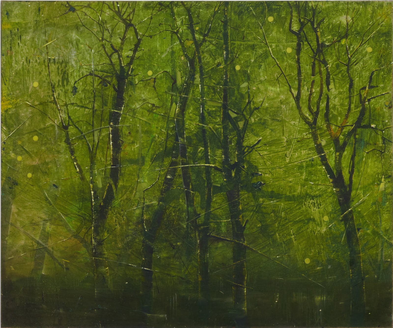 Elizabeth Magill, Verdant, 2012-13