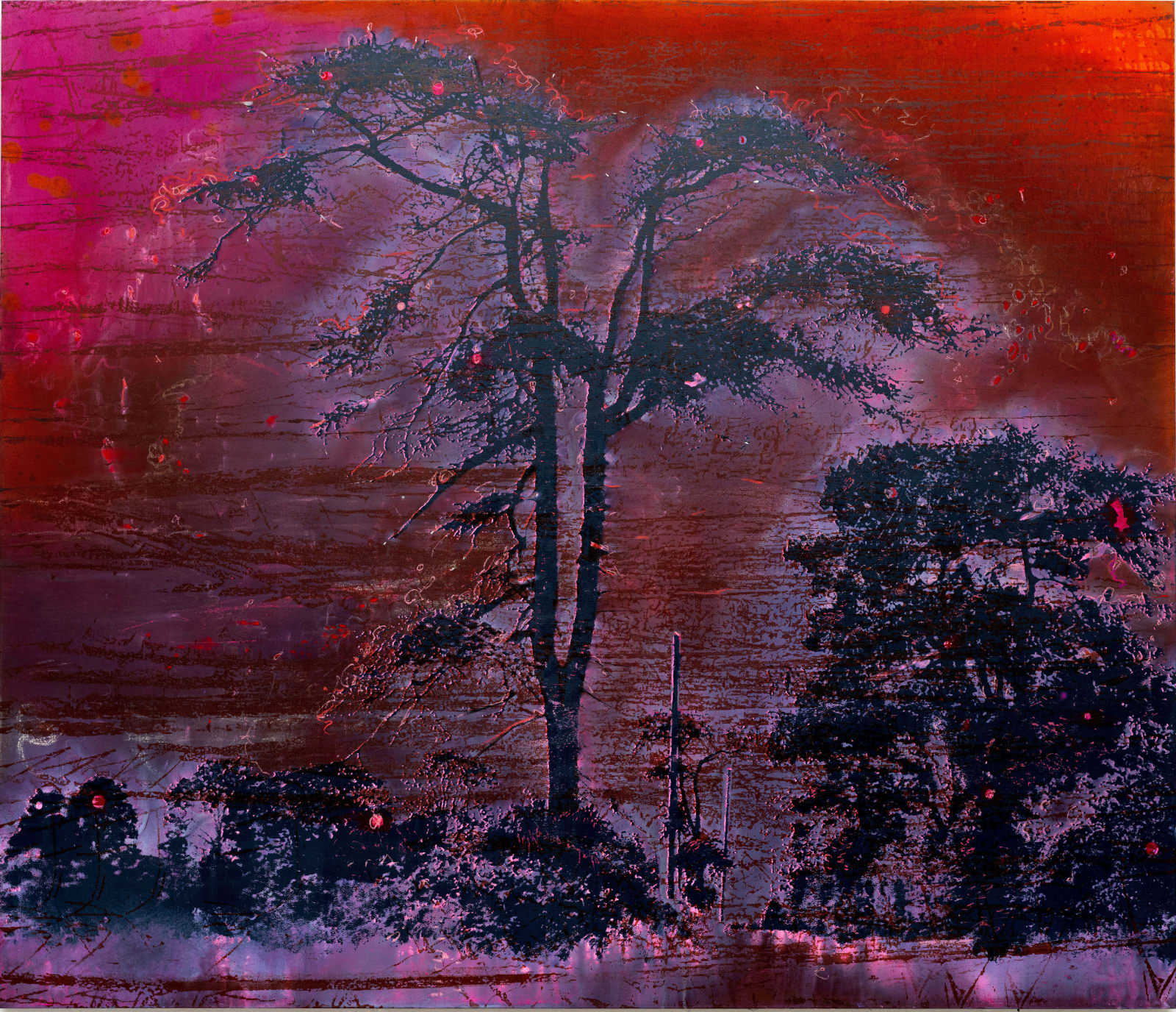 Elizabeth Magill, And I reply, 2023