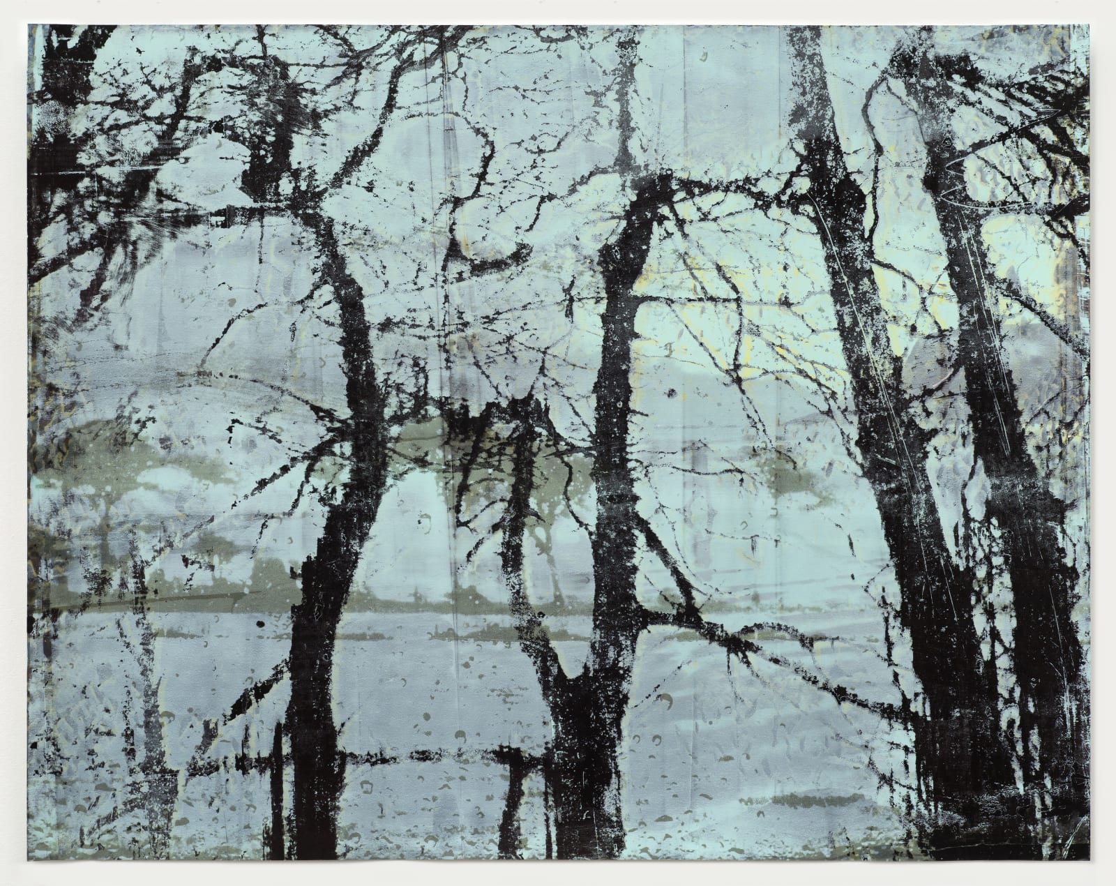 Elizabeth Magill, Anterior (2), 2017