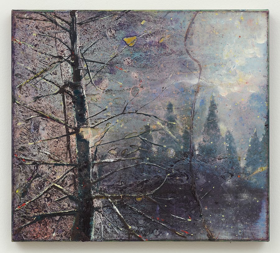 Elizabeth Magill, Cypress Dark, 2013