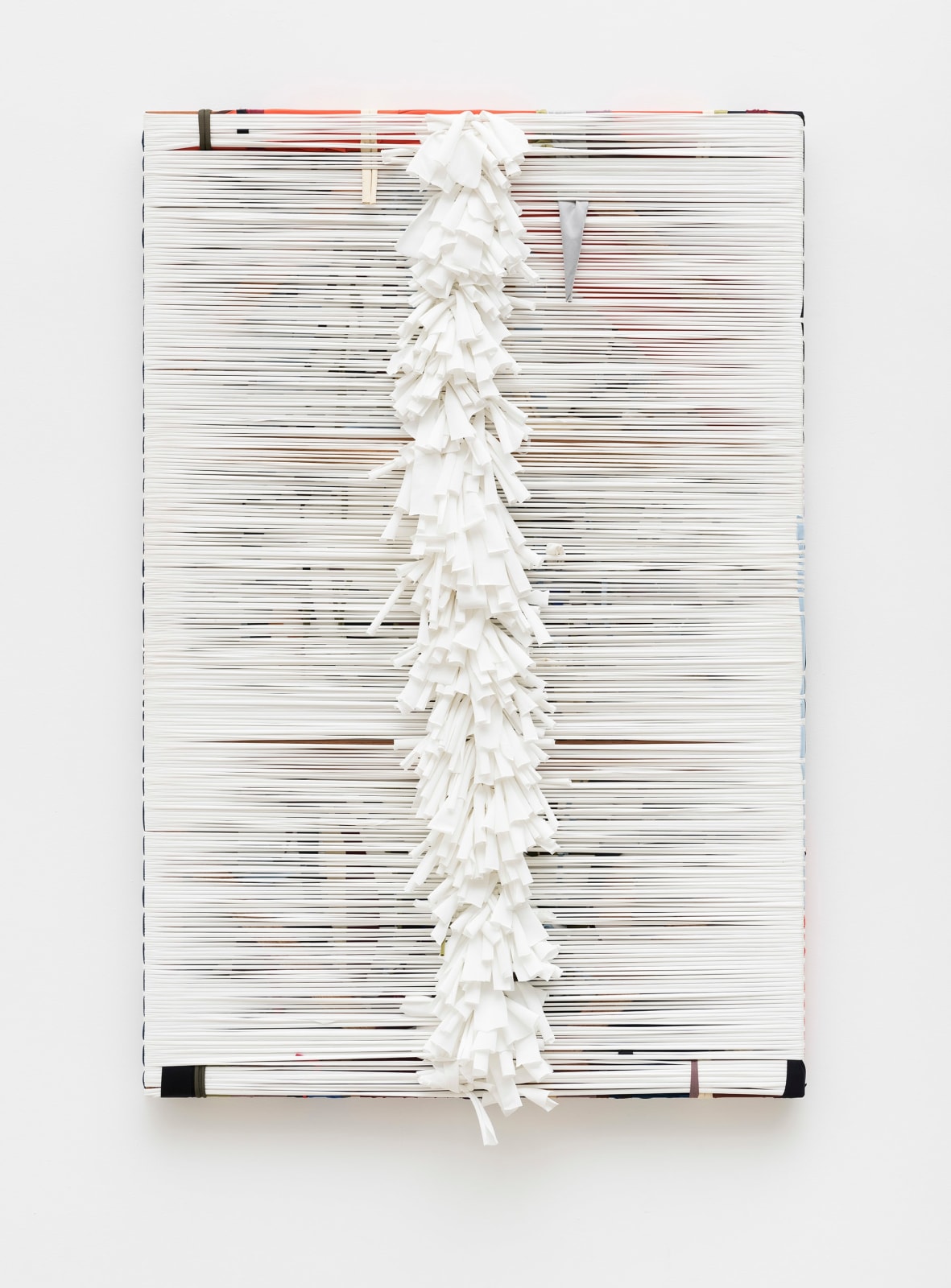 Dani Cavalier, Mata fechada, 2025