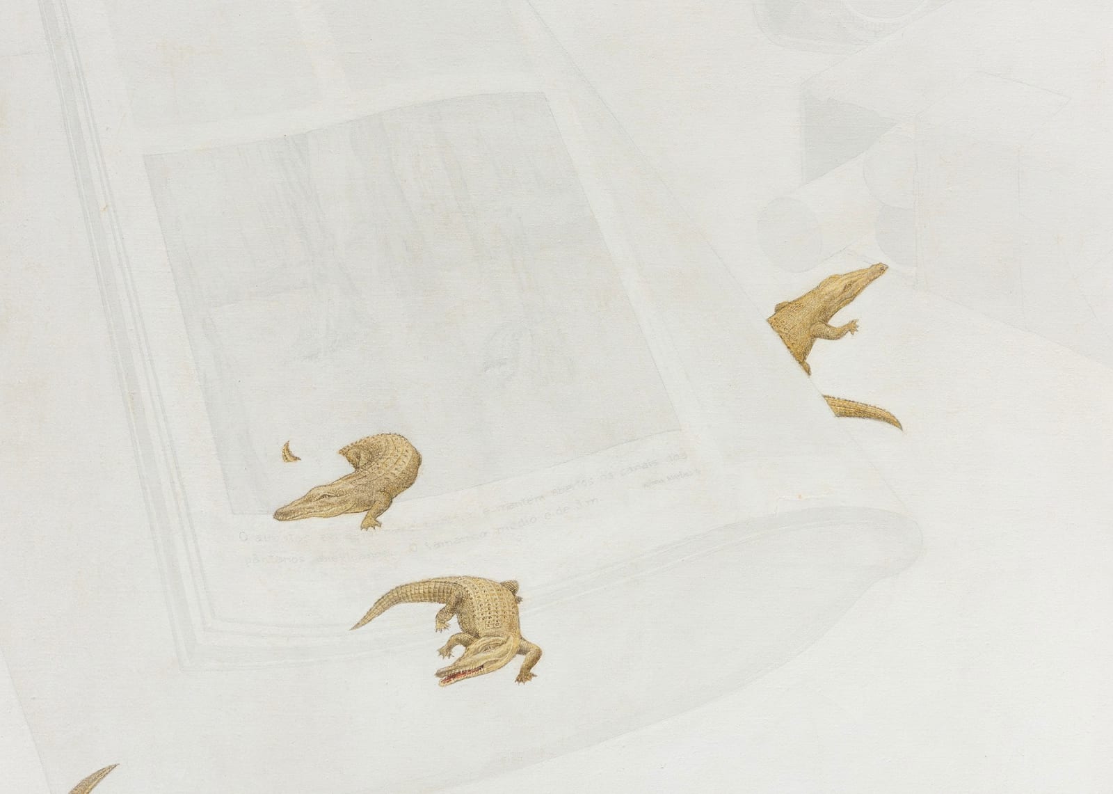 Wilma Martins, Sem título, da série Cotidiano [Untitled, from the Everyday Life series], 1976