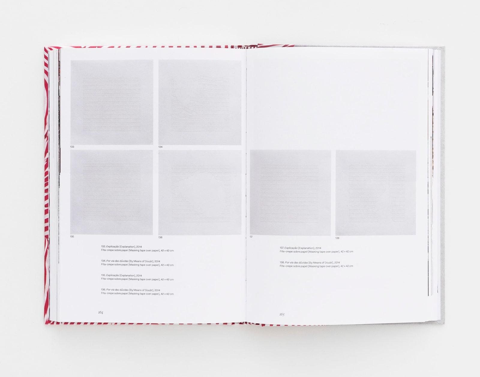 Cinthia Marcelle, Por via das dúvidas [By Means of Doubt], 2007/2024