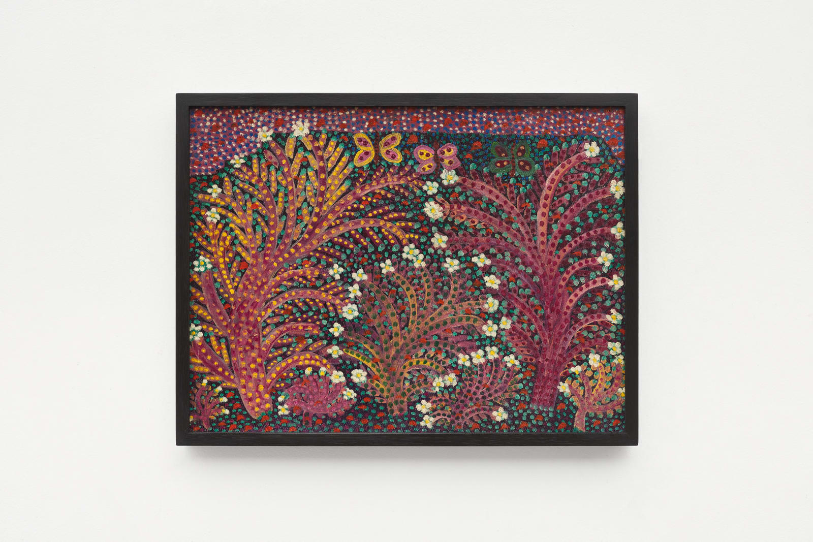 Grauben do Monte Lima, Sem título [Untitled], sem data [undated]