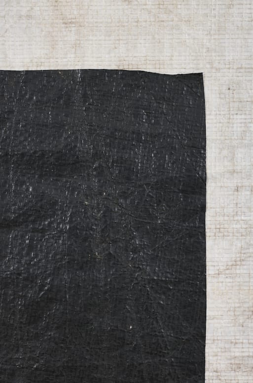 Allan Weber, Sem título, da série Novo Balanço [Untitled, from the series Novo Balanço], 2024