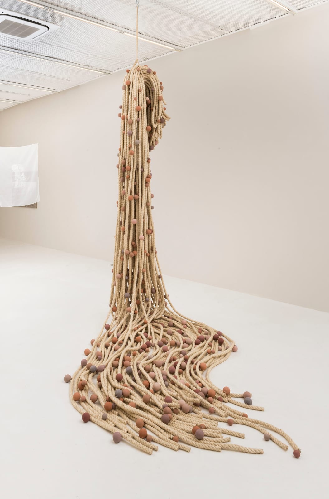 Aislan Pankararu, Feixes de ondas germinantes, 2023