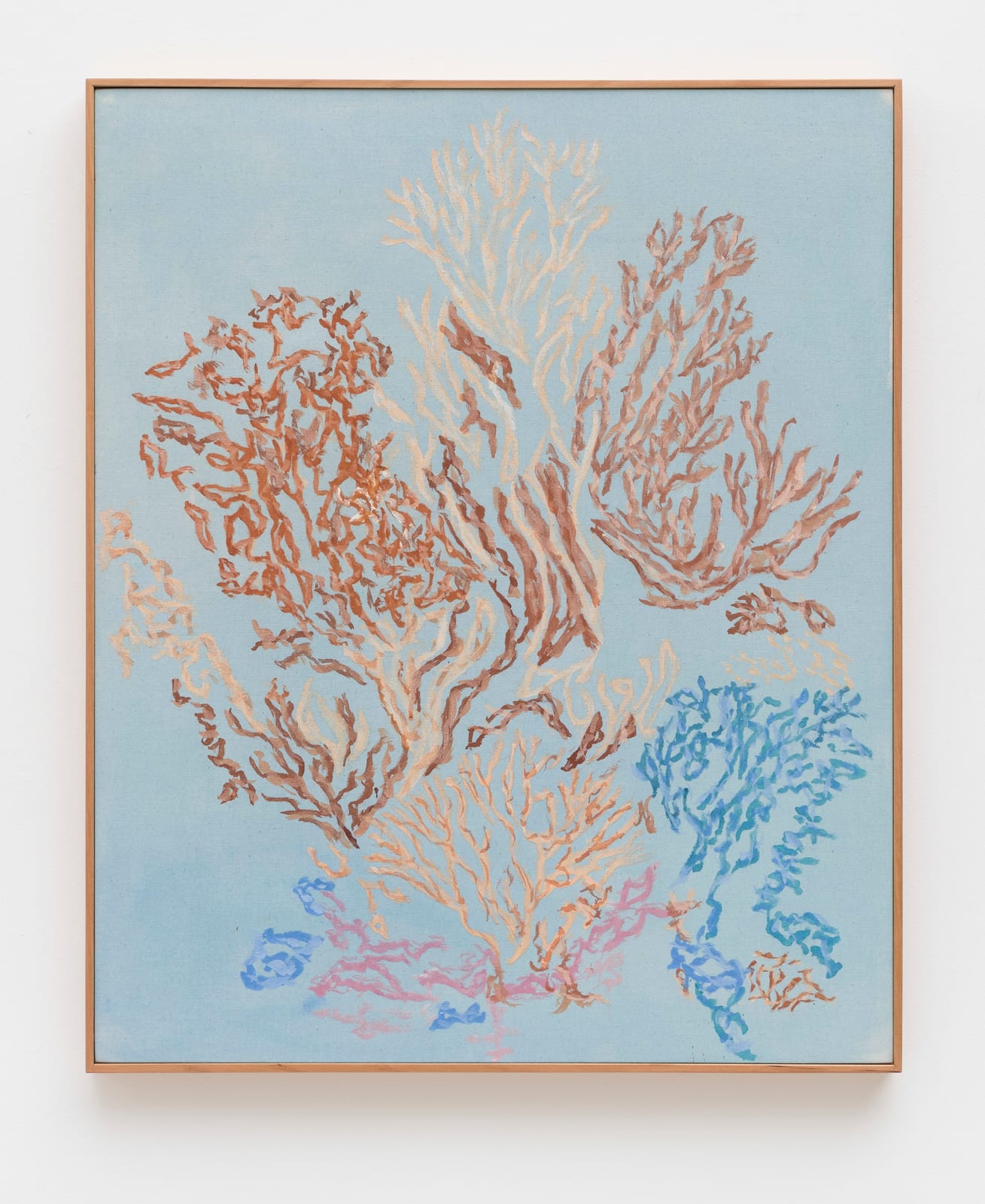 Poli Pieratti, Coral, 2025