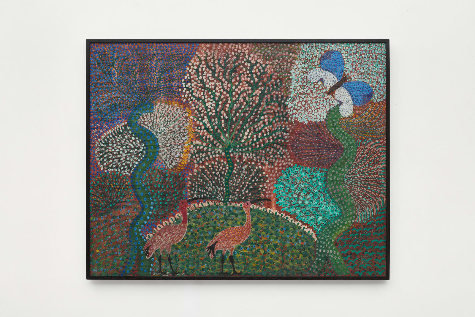 Grauben do Monte Lima, Pássaros e borboletas na floresta, sem data [undated]