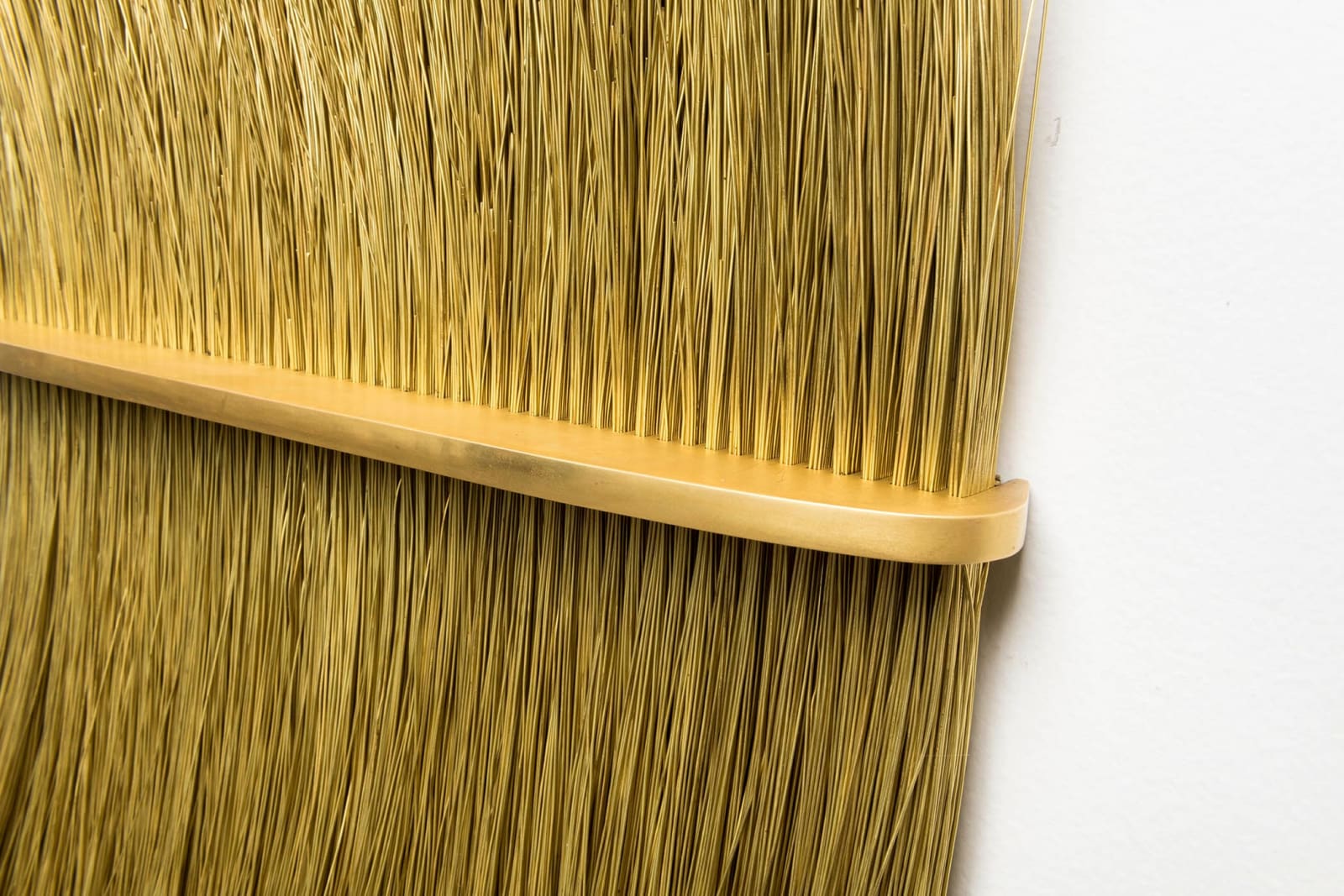 Tunga, Escalpo/Cabeleira, 1981