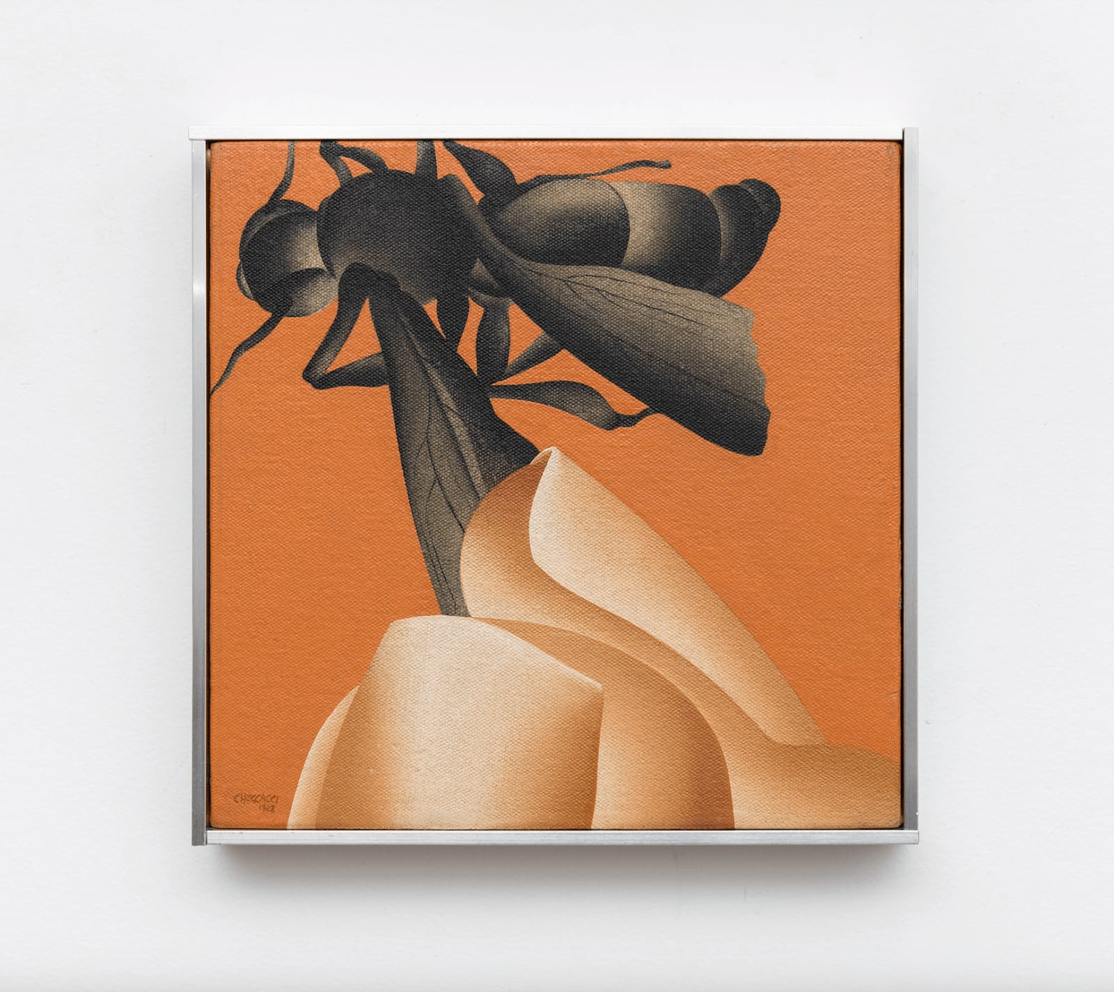 Pietrina Checcacci, O marimbondo, 1982