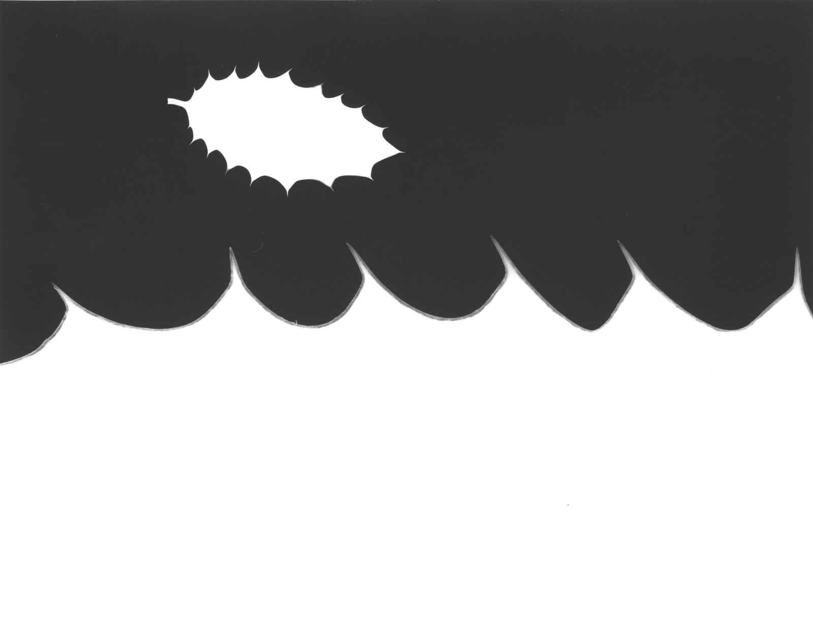 Jochen Lempert, Ilex, 2025
