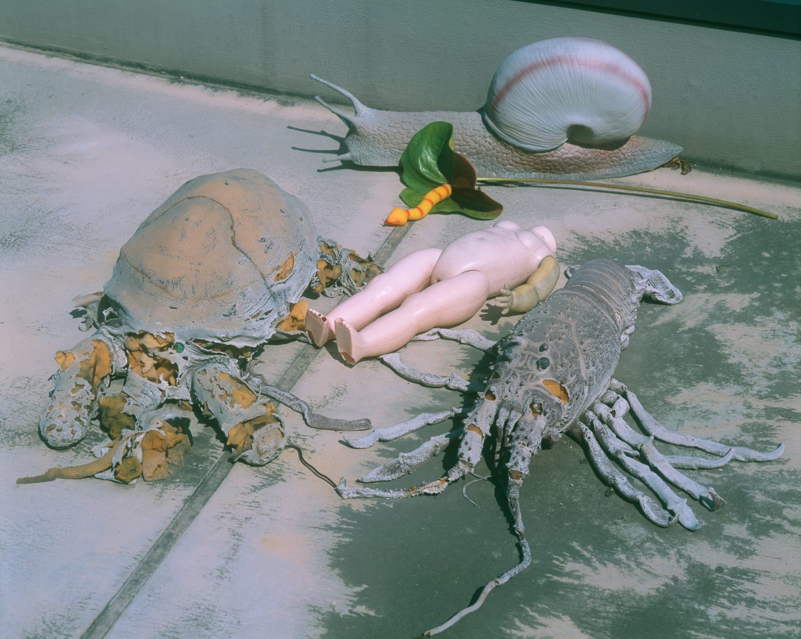 Nobuyoshi Araki, Untitled (Flower Cemetery), 2017