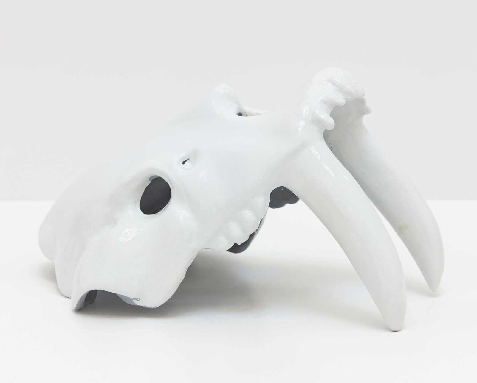Will Boone, Tiger Skull, 2021