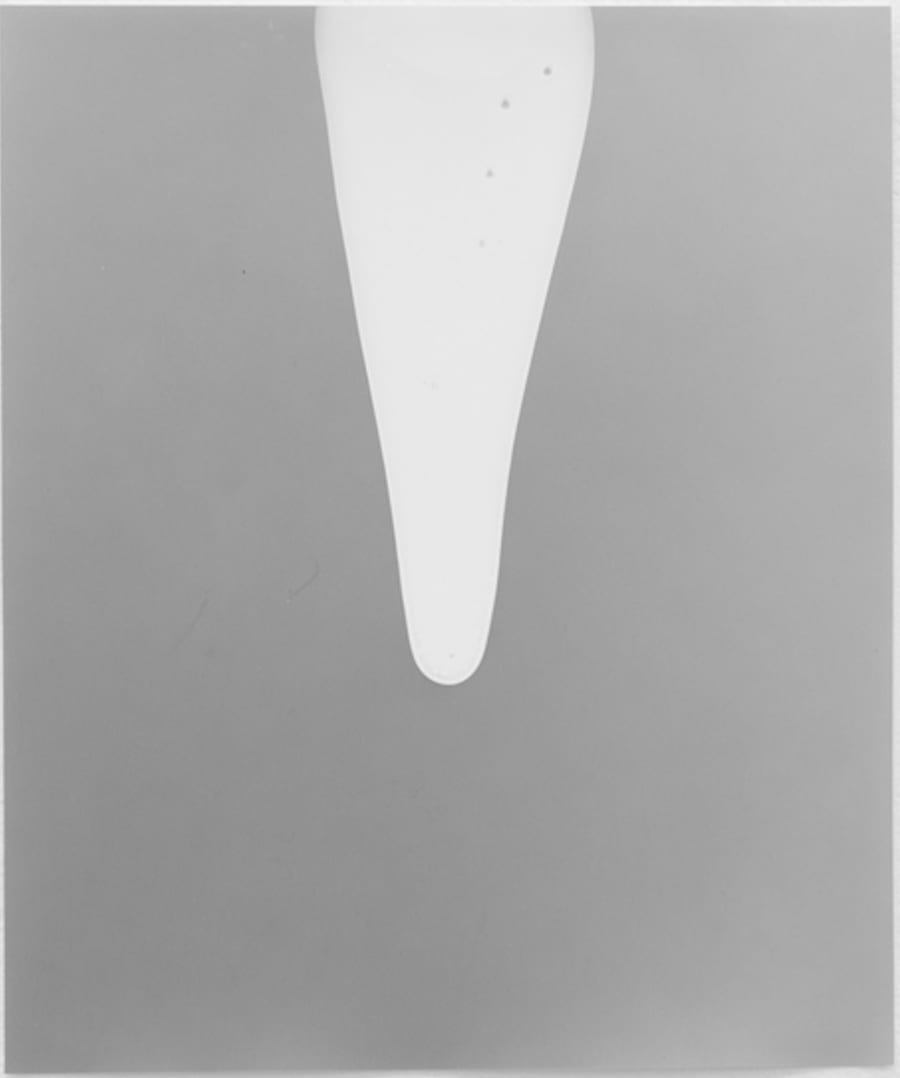 Jochen Lempert, Honigfotogramm, 2025