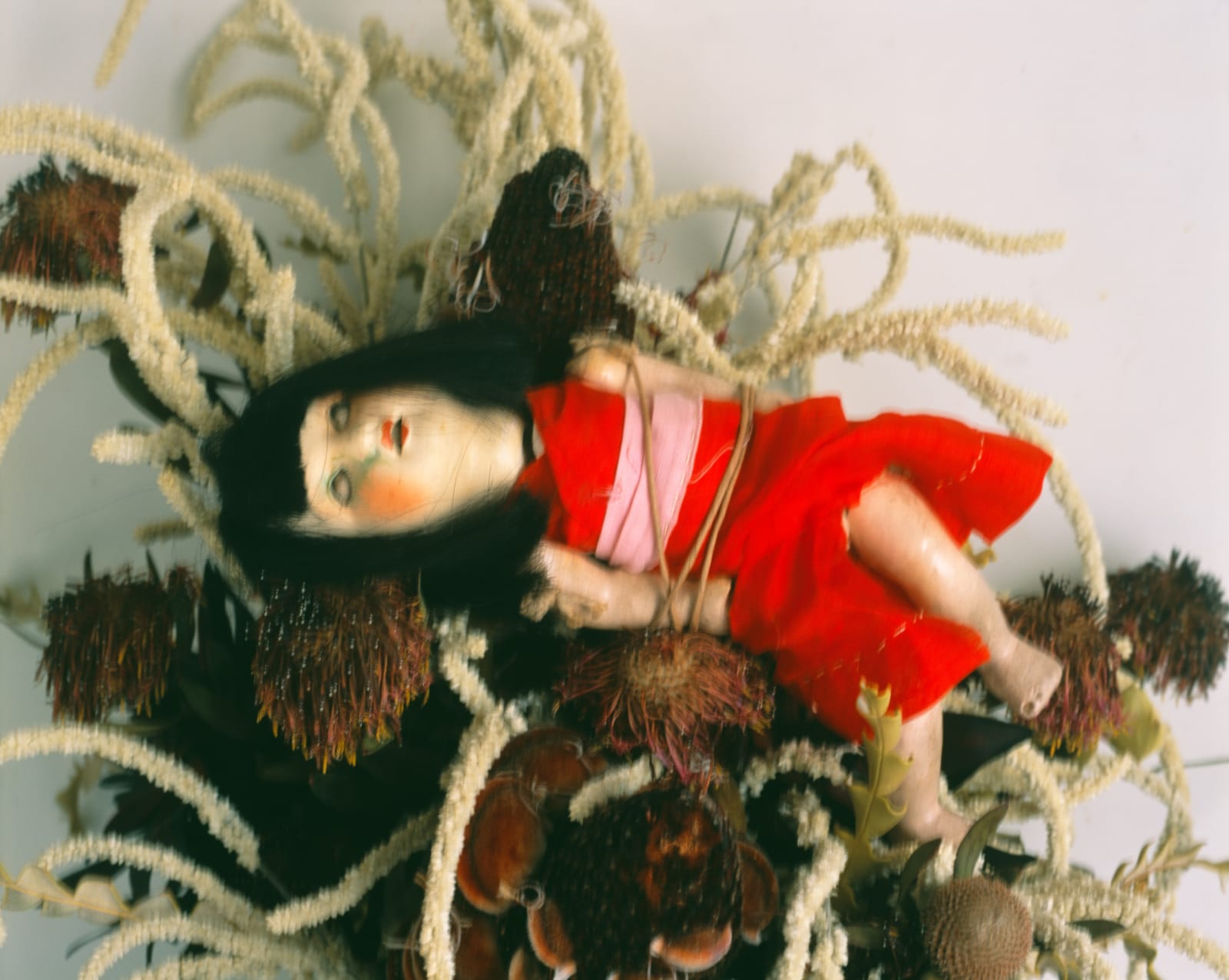 Nobuyoshi Araki, Untitled (Flower Cemetery), 2017