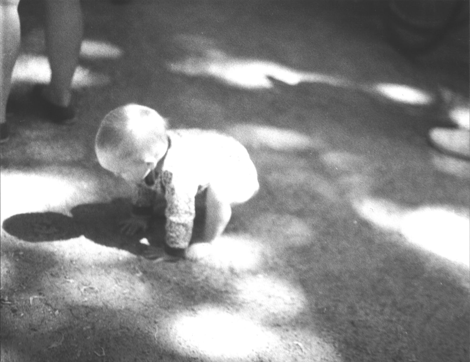 Jochen Lempert, Aufstehen (Stand-up), 2025