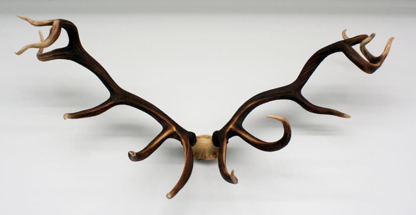 Michael Joo, Flawed / Empowered, 2009
