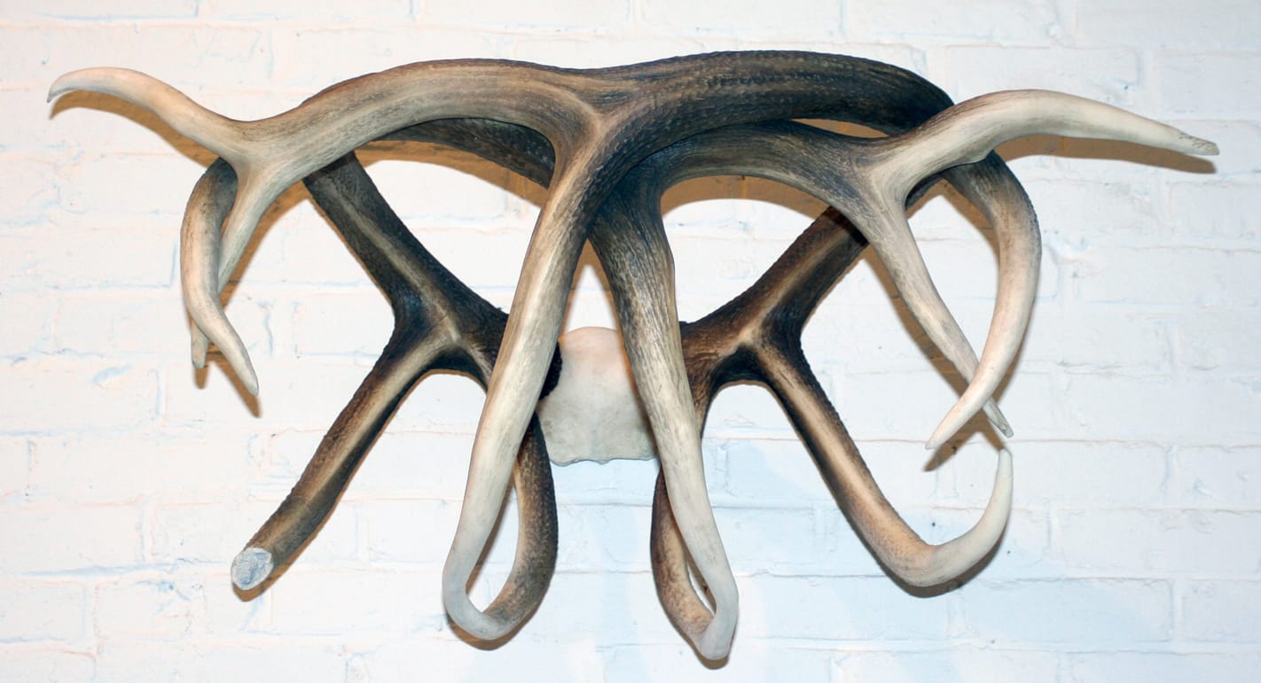 Michael Joo, Strappado, 2009