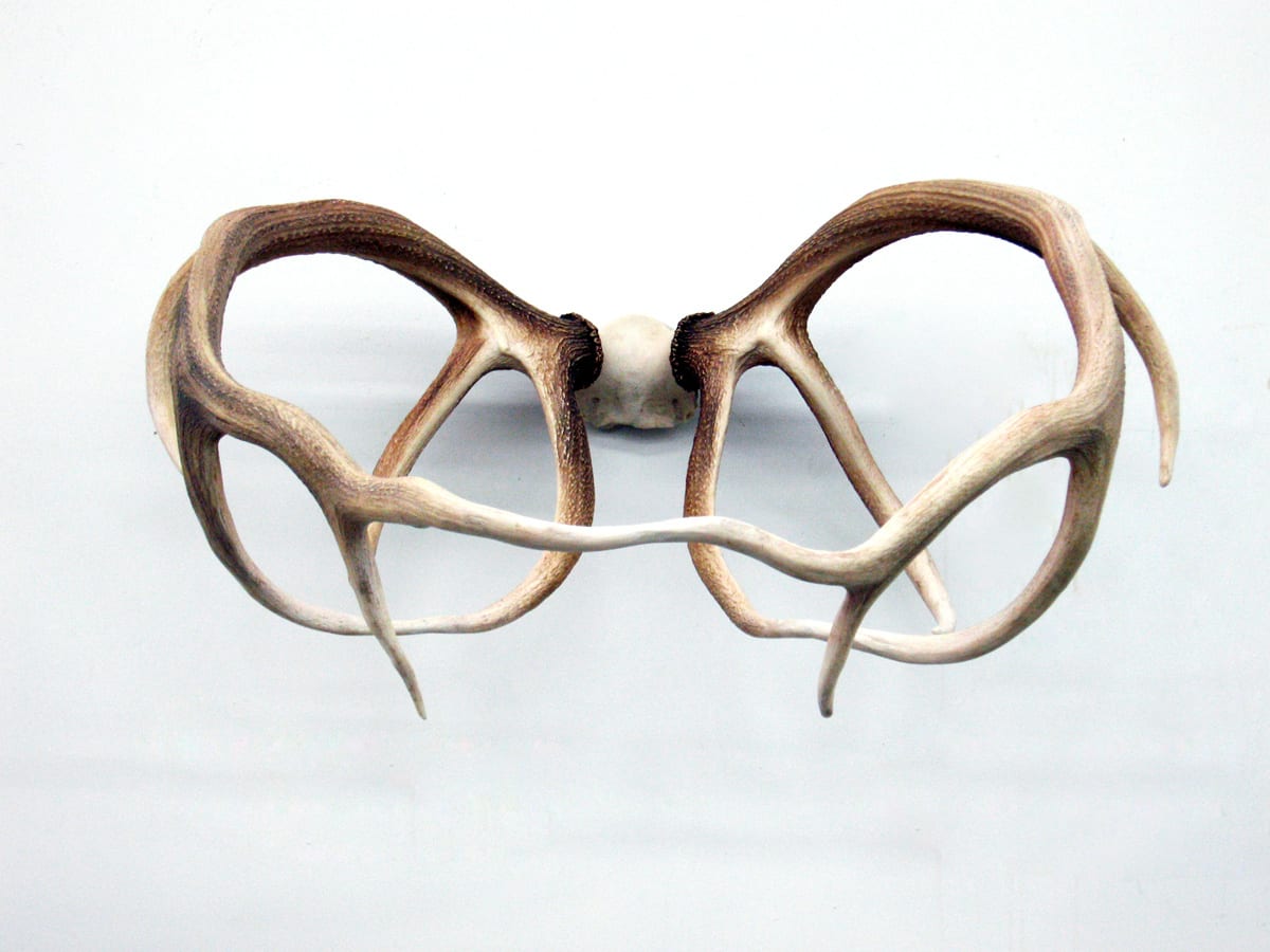 Michael Joo, Cradle, 2009