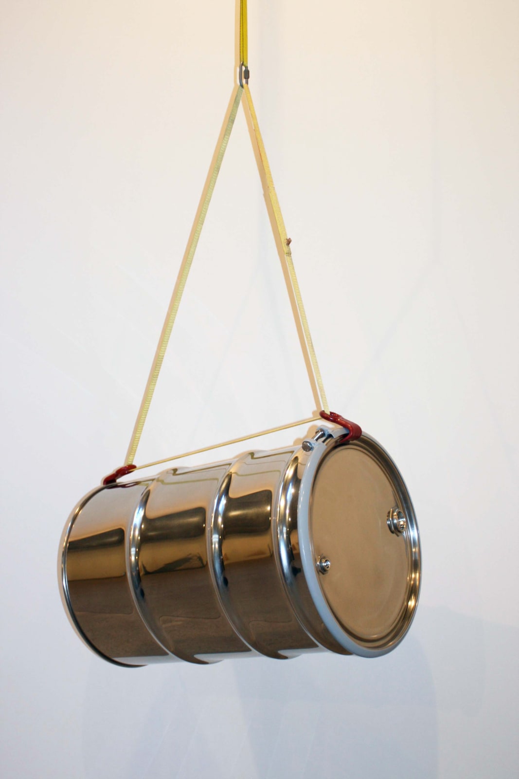 Michael Joo, Pork (Secreted-Secreted), 2009