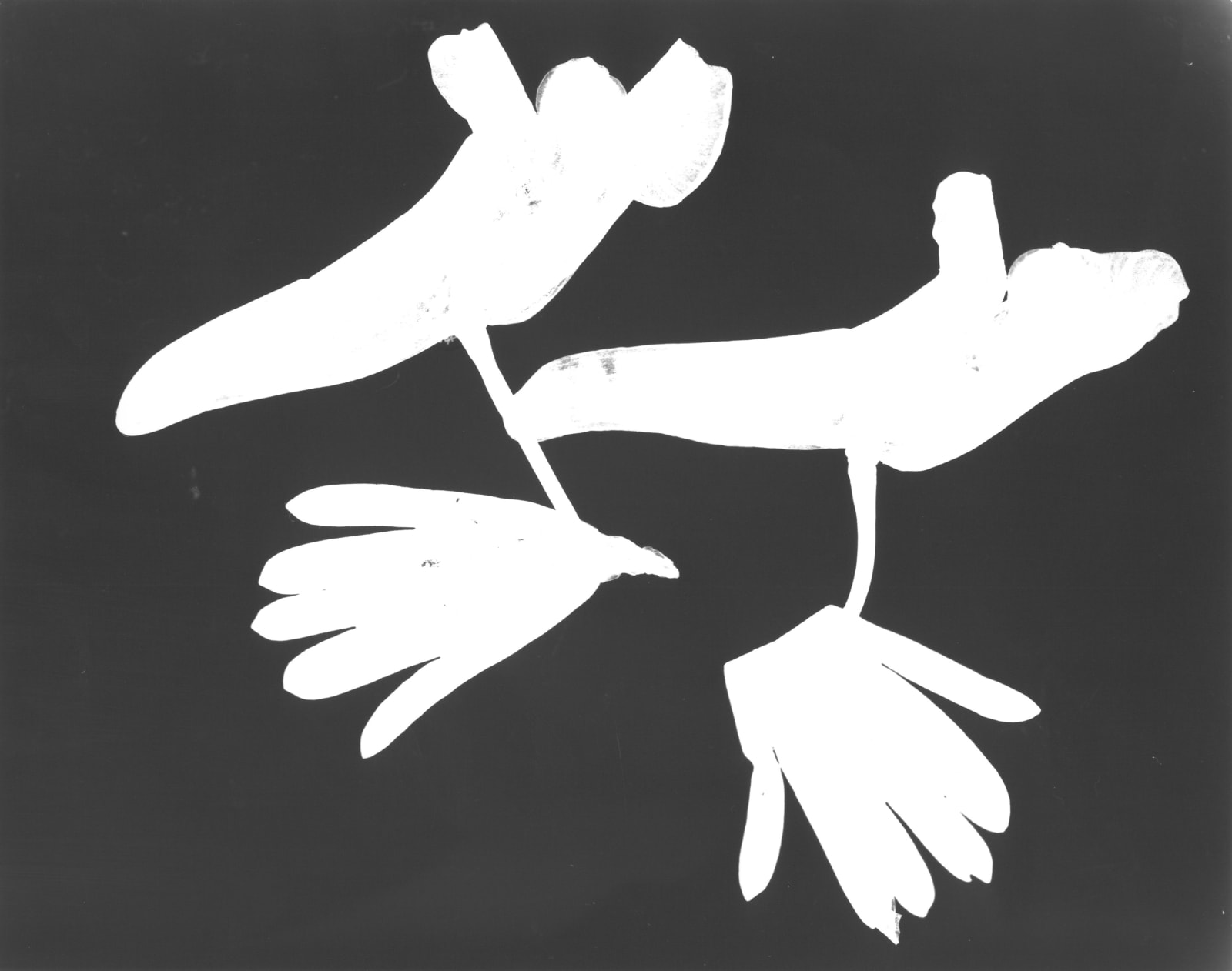 Jochen Lempert, Lerchensporn II, 2025