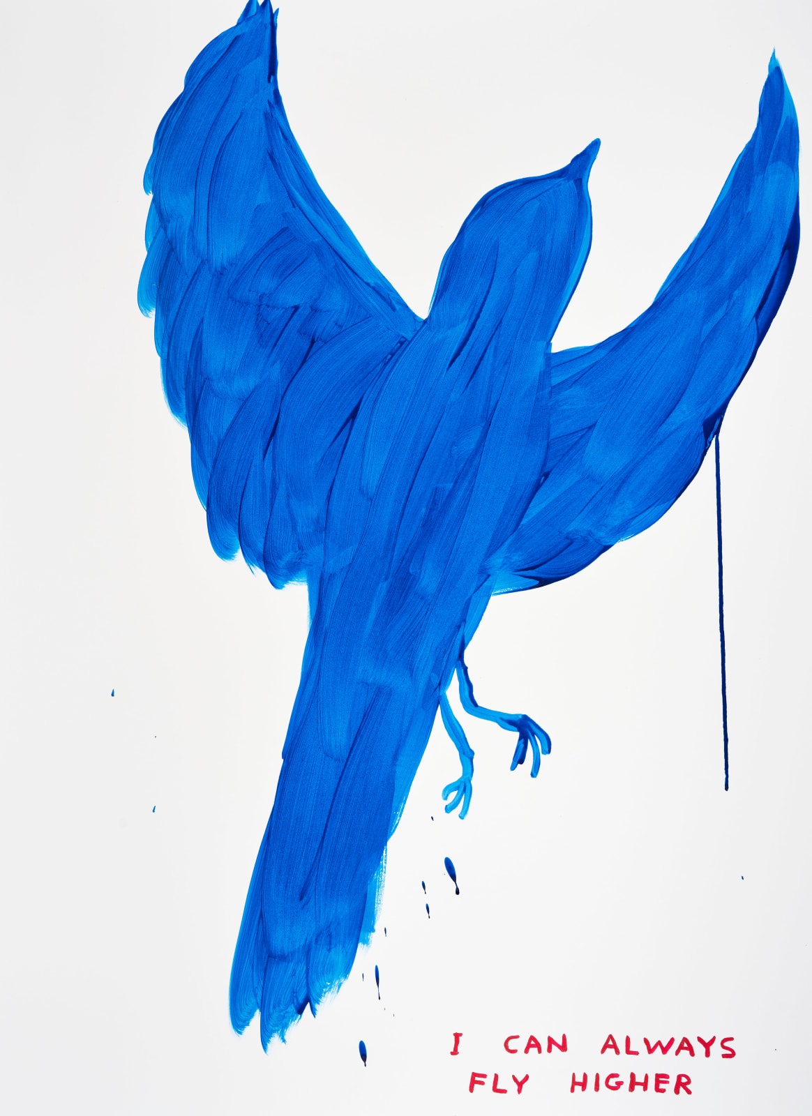 David Shrigley, Untitled (I can always fly higher), 2023