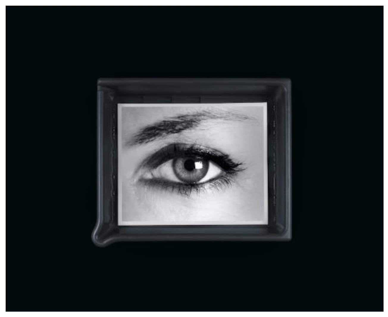 Anne Collier, Developing (Anonymous), 2025