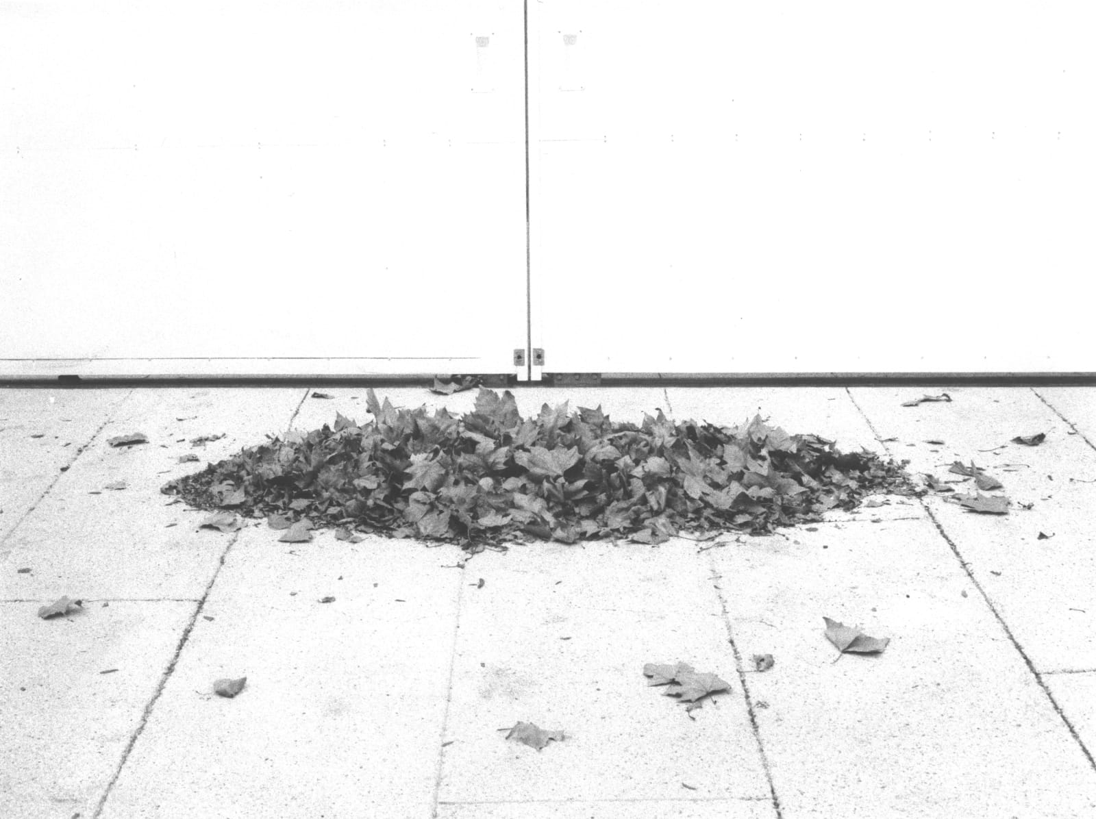 Jochen Lempert, Windshaped, 2024