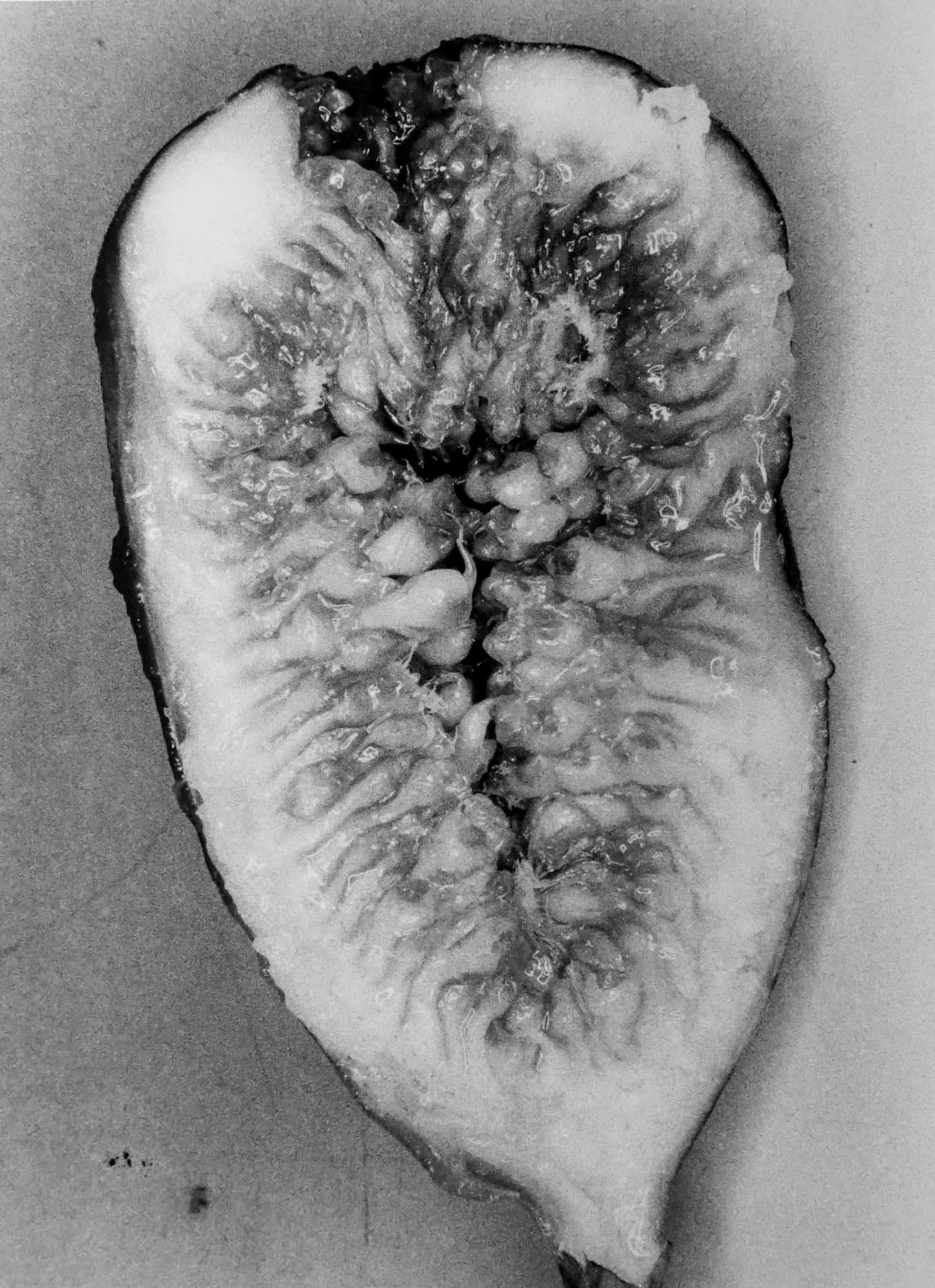 Nobuyoshi Araki, Untitled (Erotos), 1993
