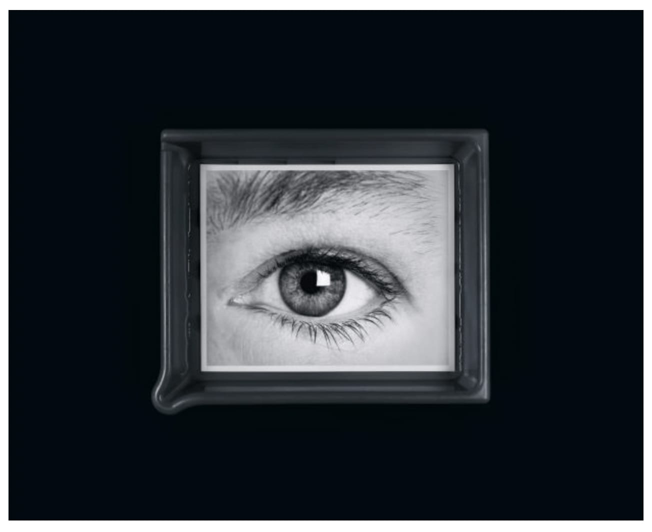 Anne Collier, Developing (Klara Lidén), 2024