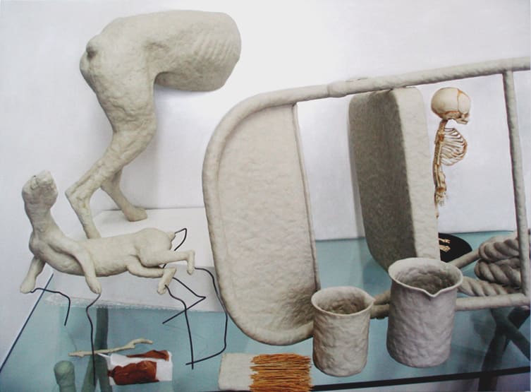 Michael Joo, A Piece of Paradise, 2008