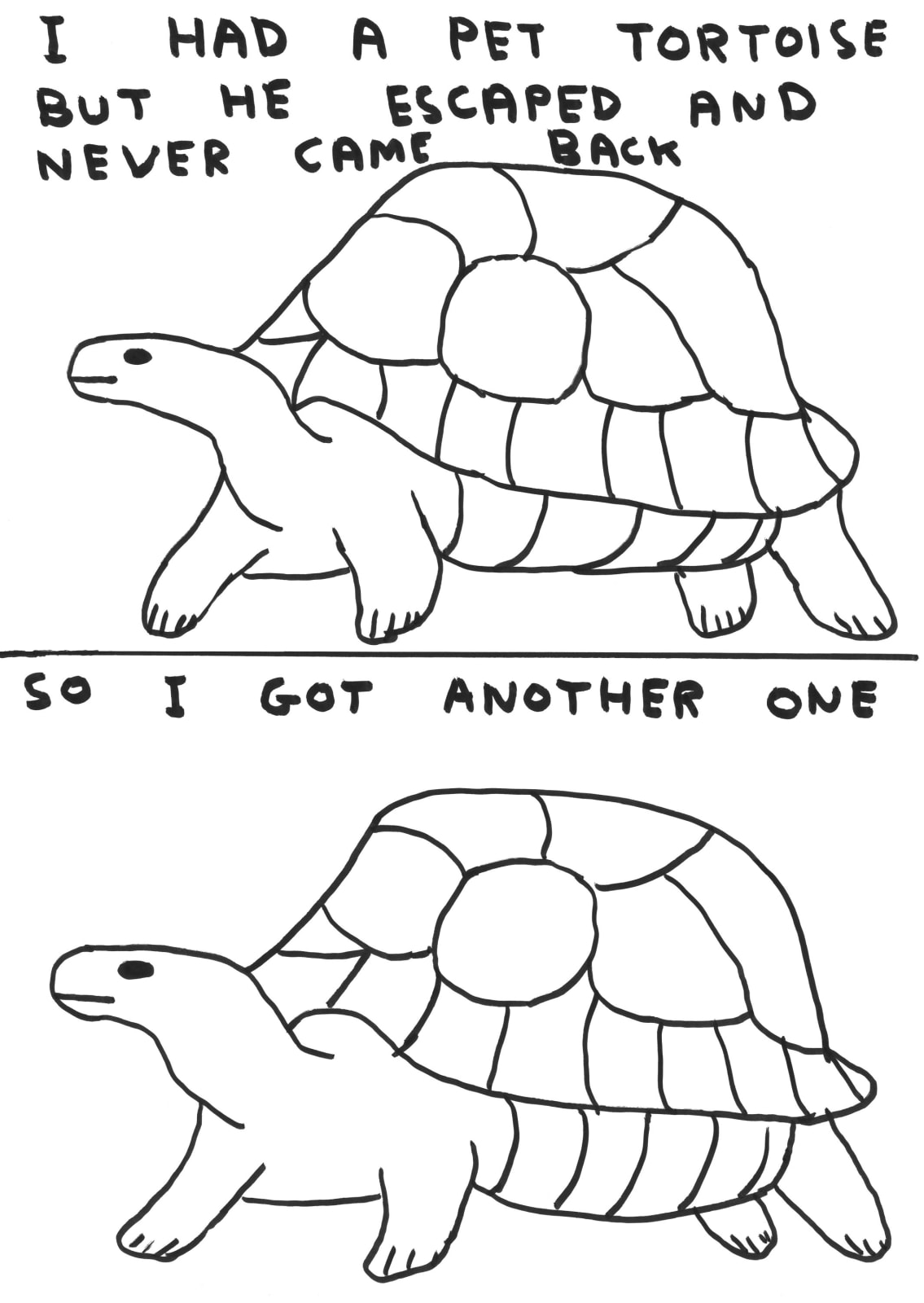 David Shrigley, Untitled (I had a pet tortoise), 2019
