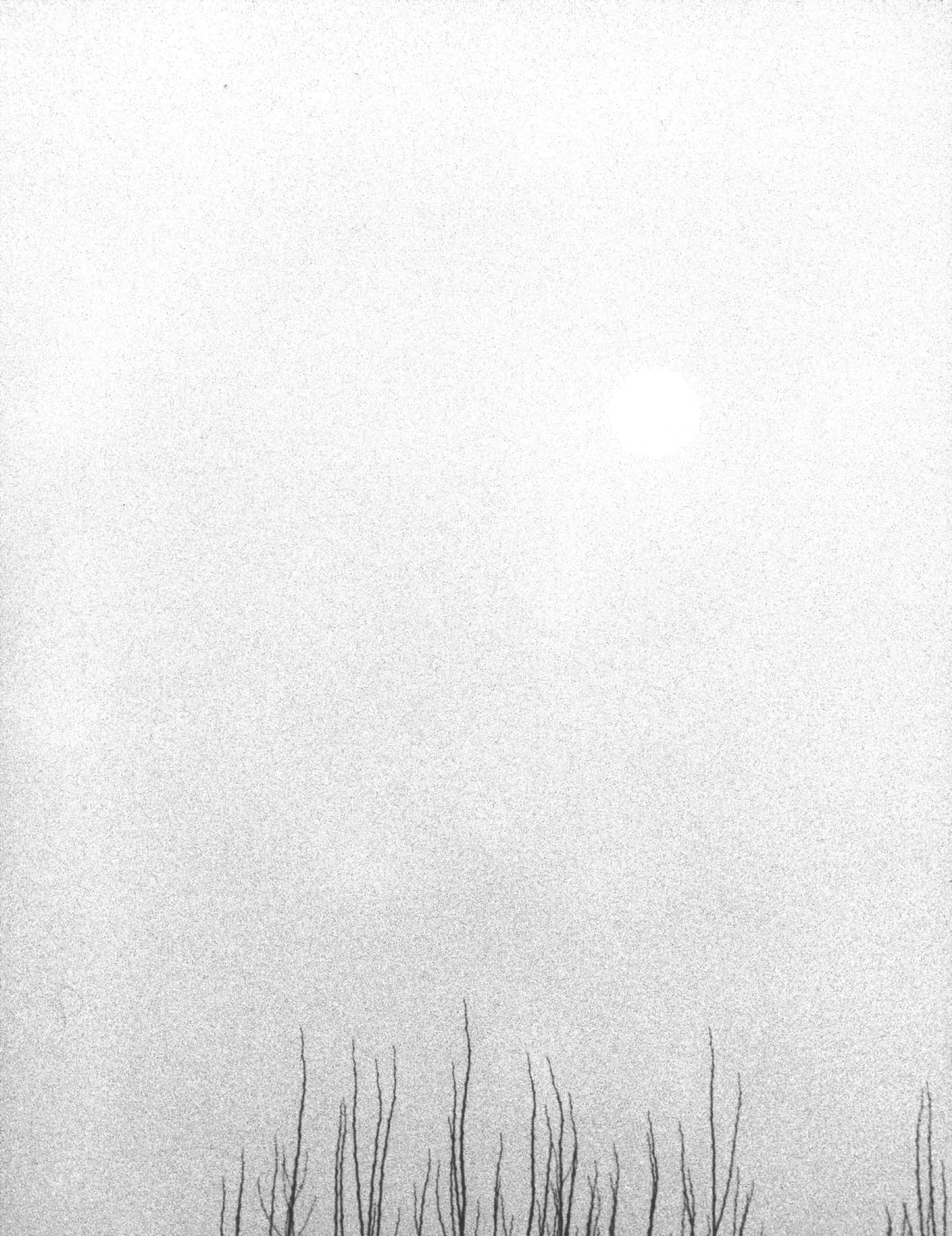Jochen Lempert, High Fog, 2025