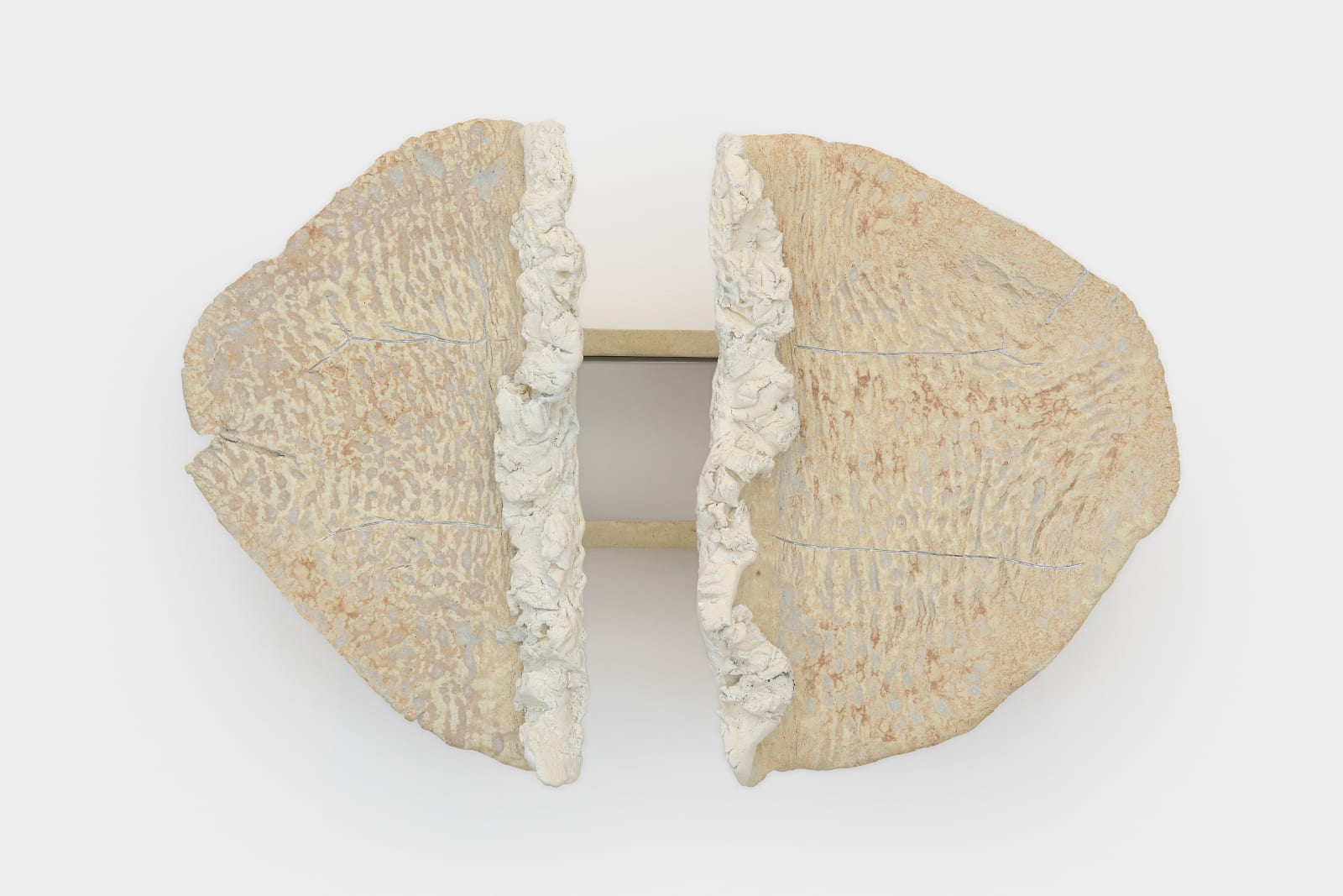 Liz Larner, Divergent boundary, 2025