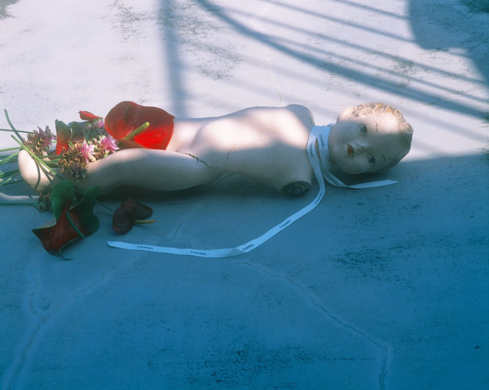Nobuyoshi Araki, Untitled (Flower Cemetery), 2017